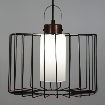 Потолочный светильник Элетех Манго 212 НСБ 01-60-172 Е27 / 1005405088 (черный муар)