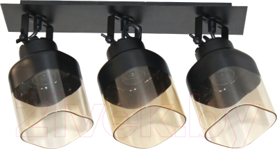 Спот Элетех Марш 111 НПБ 01-3х60-223 Е27 / 1005405034 - фото