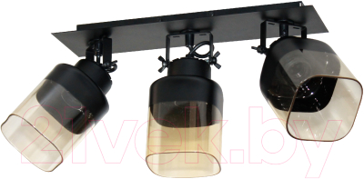 Спот Элетех Марш 111 НПБ 01-3х60-223 Е27 / 1005405034