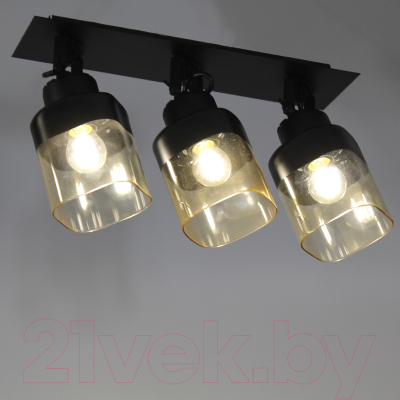 Спот Элетех Марш 111 НПБ 01-3х60-223 Е27 / 1005405034