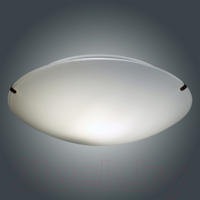 Потолочный светильник Элетех Мелани 250 НПБ 01-60-130 М15 / 1005206060