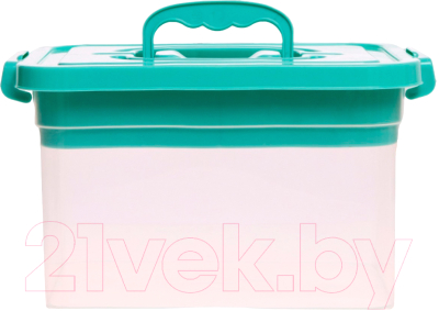 Контейнер для хранения Соломон С крышкой и вкладышем / 9354612 - фото