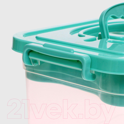 Контейнер для хранения Соломон С крышкой и вкладышем / 9354612