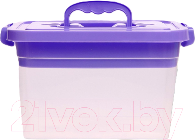 Контейнер для хранения Соломон С крышкой и вкладышем / 9354610 - фото
