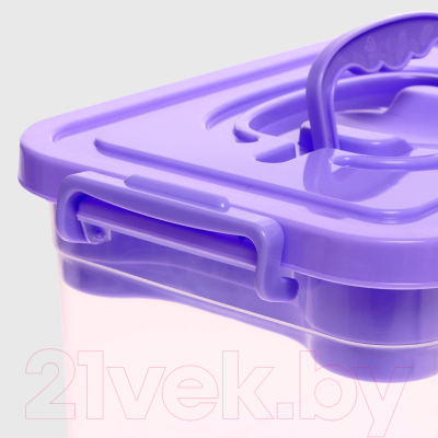 Контейнер для хранения Соломон С крышкой и вкладышем / 9354610