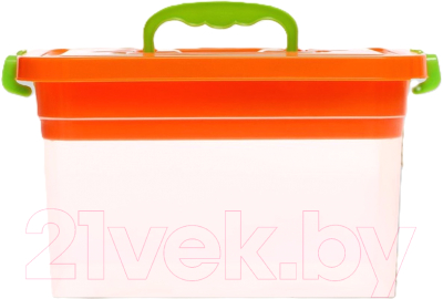 Контейнер для хранения Соломон С крышкой и вкладышем / 9354608 - фото