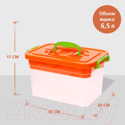 Контейнер для хранения Соломон С крышкой и вкладышем / 9354608