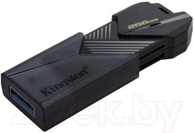 Usb flash накопитель Kingston DataTraveler Exodia Onyx 256GB (DTXON/256GB)