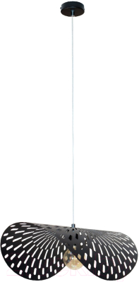 Потолочный светильник Элетех Наоми 211 НСБ 01-60-166 Е27 / 1005404814 (черный муар) - фото