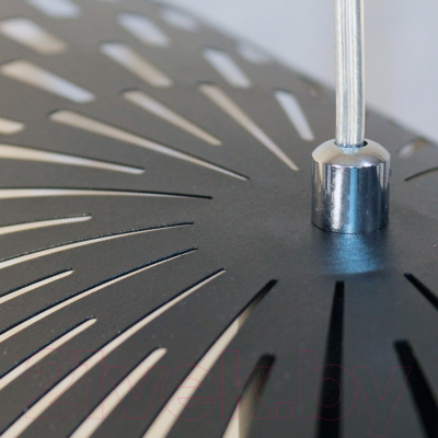 Потолочный светильник Элетех Наоми 211 НСБ 01-60-166 Е27 / 1005404814 (черный муар)