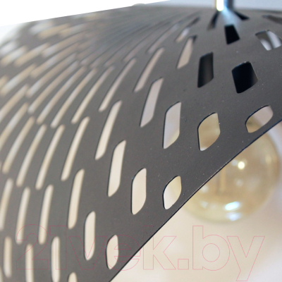 Потолочный светильник Элетех Наоми 211 НСБ 01-60-166 Е27 / 1005404814 (черный муар)