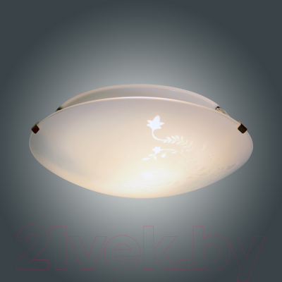 Потолочный светильник Элетех Нежность 300 НПБ 01-2х60-139 М16 / 1005206076