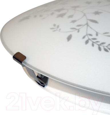 Потолочный светильник Элетех Нежность 300 НПБ 01-2х60-139 М16 / 1005206076