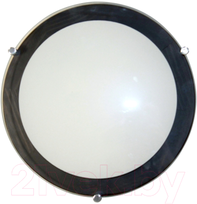 Потолочный светильник Элетех Полесье 300 НПБ 09-2х40-002 М95 / 1005205892 - фото