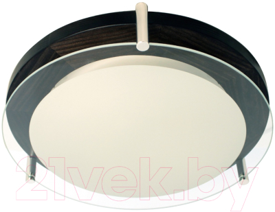 Потолочный светильник Элетех Полесье 300 НПБ 09-2х40-002 М95 / 1005205892