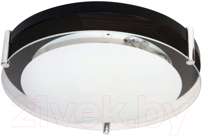 Потолочный светильник Элетех Полесье 300 НПБ 09-2х40-002 М95 / 1005205892