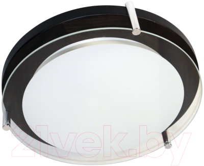 Потолочный светильник Элетех Полесье 300 НПБ 09-2х40-002 М95 / 1005205892