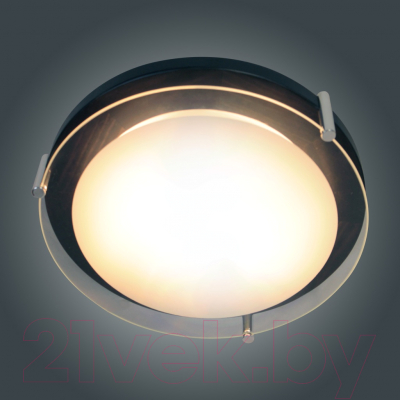 Потолочный светильник Элетех Полесье 300 НПБ 09-2х40-002 М95 / 1005205892