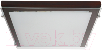 Потолочный светильник Элетех Полесье 400x400 НПБ 09-3х40-003 М97 / 1005205895