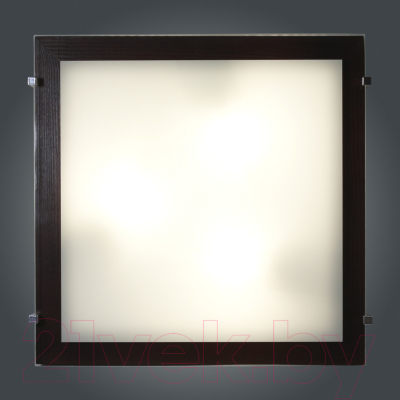 Потолочный светильник Элетех Полесье 400x400 НПБ 09-3х40-003 М97 / 1005205895