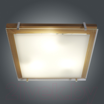 Потолочный светильник Элетех Полесье 400х400 НПБ 09-3х40-003 М97 / 1005205893