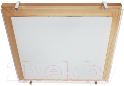 Потолочный светильник Элетех Полесье 400х400 НПБ 09-3х40-003 М97 / 1005205893