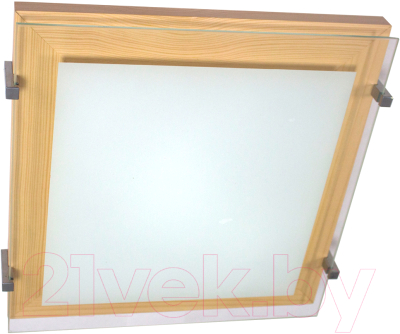 Потолочный светильник Элетех Полесье 400х400 НПБ 09-3х40-003 М97 / 1005205893