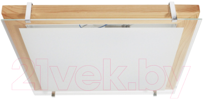 Потолочный светильник Элетех Полесье 400х400 НПБ 09-3х40-003 М97 / 1005205893