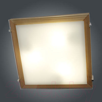 Потолочный светильник Элетех Полесье 400х400 НПБ 09-3х40-003 М97 / 1005205893