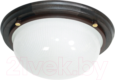 Светильник ЖКХ Элетех Самарканд 1101 НПП 03-100-009 IP65 / 1005501082 - фото