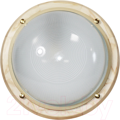 Светильник ЖКХ Элетех Самарканд 1101 НПП 03-100-009 IP65 / 1005501083 - фото