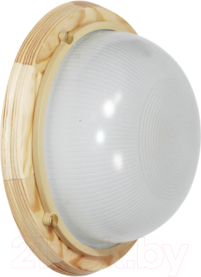 Светильник ЖКХ Элетех Самарканд 1101 НПП 03-100-009 IP65 / 1005501083