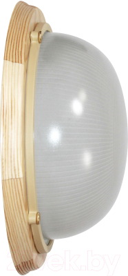 Светильник ЖКХ Элетех Самарканд 1101 НПП 03-100-009 IP65 / 1005501083