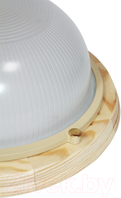 Светильник ЖКХ Элетех Самарканд 1101 НПП 03-100-009 IP65 / 1005501083