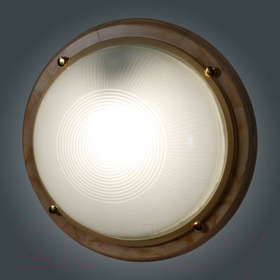 Светильник ЖКХ Элетех Самарканд 1101 НПП 03-100-009 IP65 / 1005501083