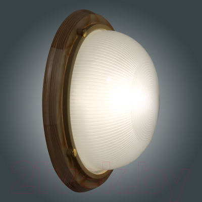 Светильник ЖКХ Элетех Самарканд 1101 НПП 03-100-009 IP65 / 1005501083