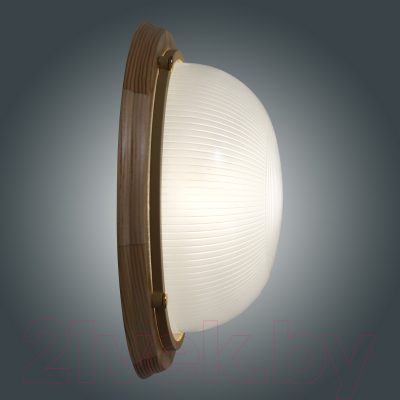 Светильник ЖКХ Элетех Самарканд 1101 НПП 03-100-009 IP65 / 1005501083