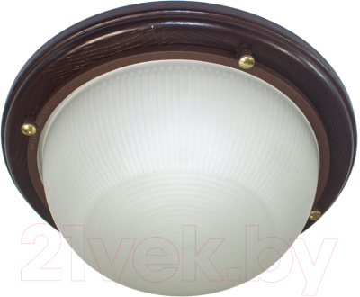 Светильник ЖКХ Элетех Самарканд 1301 НПП 03-60-013 IP65 / 1005501084 - фото