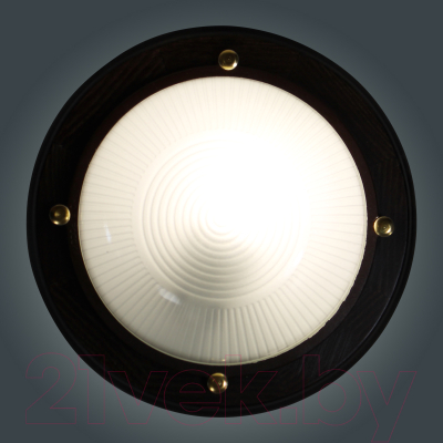 Светильник ЖКХ Элетех Самарканд 1301 НПП 03-60-013 IP65 / 1005501084