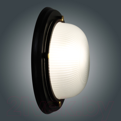 Светильник ЖКХ Элетех Самарканд 1301 НПП 03-60-013 IP65 / 1005501084