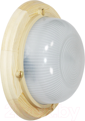 Светильник ЖКХ Элетех Самарканд 1301 НПП 03-60-013 IP65 / 1005501085