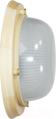 Светильник ЖКХ Элетех Самарканд 1301 НПП 03-60-013 IP65 / 1005501085