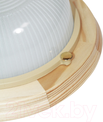 Светильник ЖКХ Элетех Самарканд 1301 НПП 03-60-013 IP65 / 1005501085