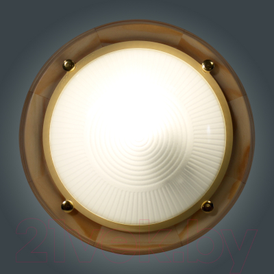 Светильник ЖКХ Элетех Самарканд 1301 НПП 03-60-013 IP65 / 1005501085