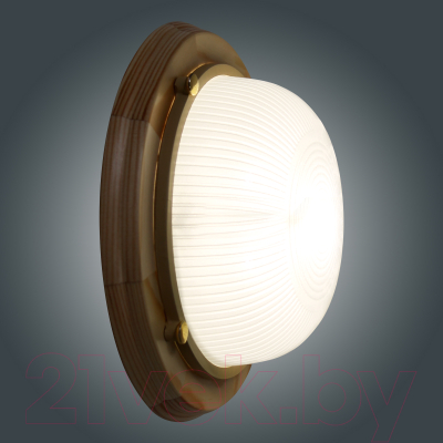 Светильник ЖКХ Элетех Самарканд 1301 НПП 03-60-013 IP65 / 1005501085