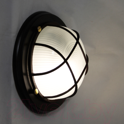 Светильник ЖКХ Элетех Самарканд 1302 НПП 03-60-014 IP65 / 1005501086