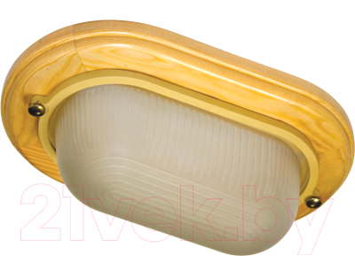 Светильник ЖКХ Элетех Самарканд 1401 НПП 03-60-021 IP65 / 1005500982 - фото