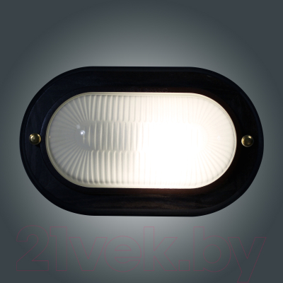 Светильник ЖКХ Элетех Самарканд 1401 НПП 03-60-021 IP65 / 1005501088