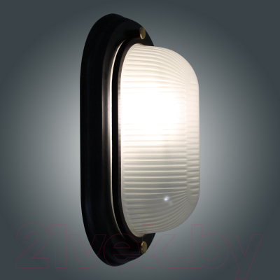 Светильник ЖКХ Элетех Самарканд 1401 НПП 03-60-021 IP65 / 1005501088