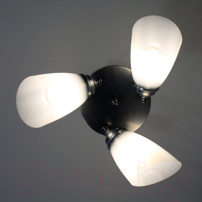 Люстра Элетех Сатурн 1317 НПБ 01-3х60-176 Е27 / 1005405013 (хром)